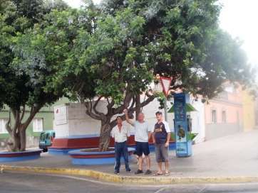 Vecinos de la zona junto a los árboles para los que solicitan una poda (Foto TA)