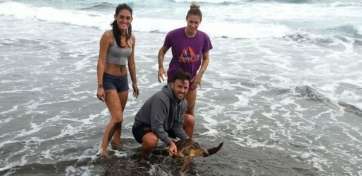 Jóvenes que hallaron la tortuga hace unos minutos en Playa del Hombre (Foto TA)