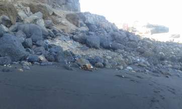 Cadáver de la cabra en la arena (Foto TA)