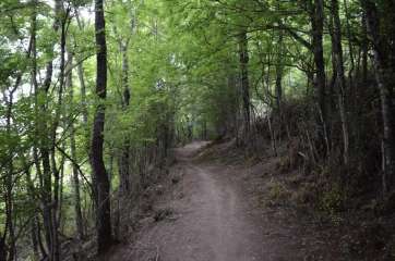 Sendero isleño (Foto TA)