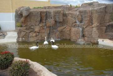 Centro Ecológico Los Olivos (Foto TA)