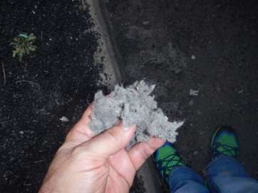 Polvo gris que se recoge en los alrededores de la empresa (Foto TA)