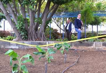El concejal Mario Torres supervisa la replantación del huerto (Foto TA)