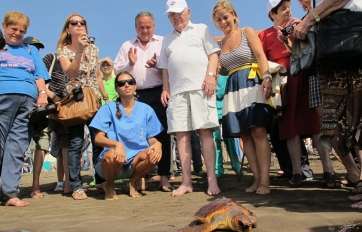 Imagen de archivo de una suelta de tortugas en Melenara (Foto TA)