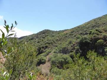Barranco de los Cernícalos (Foto TA)