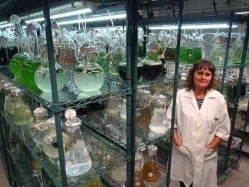 Águeda Angulo, responsable de SpiralViva (Foto TA)