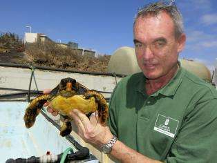 El biólogo Pascual Calabuig posa junto a Madonna, la tortuga recuperada de la zona del hundimiento del Oleg Naydenov (Foto EFE)