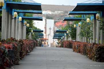 Parque urbano de San Juan, paseo central (Foto Antonio Alí)