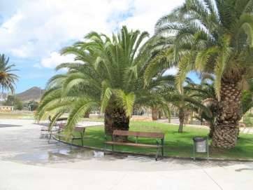 Parque de las Mil Palmeras, en el Valle de Jinámar (Foto TA)