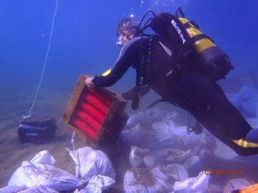 Buzo durante los trabajos (Foto TA)