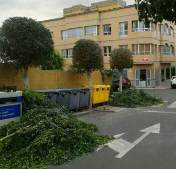 Imagen de los trabajos de poda en la calles Secundido Delgado y La Data (Foto TA)