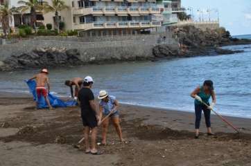 Grupo de voluntarios limpiando la playa (Foto TA)