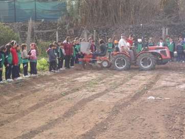 Imagen de un huerto escolar en un colegio de Telde (Foto TA)