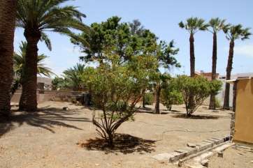 Imagen de archivo de un jardín en Telde (Foto TA)