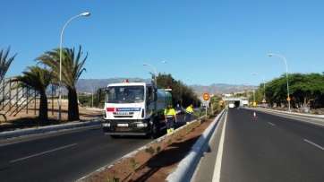 Plantación de adelfas enanas en el parterre de la Avenida del Cabildo en septiembre de 2014 (Foto TA)
