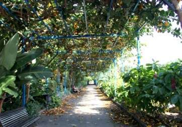 Parque urbano de San Juan, en una imagen de archivo (Foto TA)