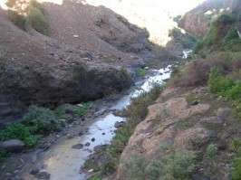 Imagen de archivo de un vertido de aguas fecales en el Barranco Real (Foto TA)