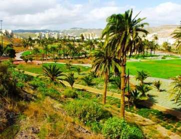 Vista parcial del Parque de las Mil Palmeras, en el Valle de Jinámar (Foto TA)