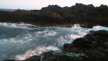 Imagen captada por un lector de TA de la tortuga muerta (Foto TA)