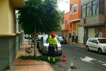 Trabajos de poda en Marpequeña (Foto TA)