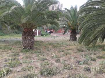Usuarios manifiestan que los guardias de seguridad están mucho tiempo encerrados en un local (Foto TA)
