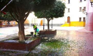 Actuación en la plaza de La Pardilla (Foto TA)