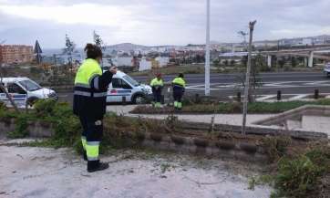 Operarios de Parques y Jardines actuando en la zona (Foto TA)