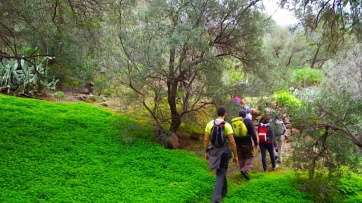 Imagen de archivo de una ruta senderista de Turcón (Foto TA)