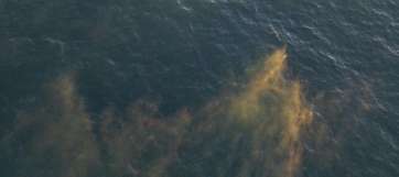 Imagen aérea de la gran mancha detectada días atrás entre Maspalomas y Puerto Rico (Foto TA)