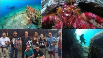 Los ganadores del concurso (Foto TA)