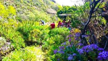 Ruta por Los Picachos de Tenteniguada (Foto TA)