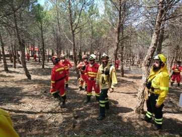 Soldados de la UME y personal forestal en la cumbre de Gran Canaria (Foto TA)