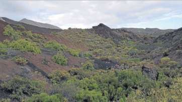 Vvolcán del Gallego (Foto C7)