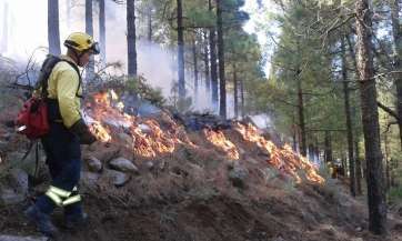 Imagen de archivo de una quema controlada para prevenir incendios forestales en la Cumbre de Gran Canaria (Foto TA)