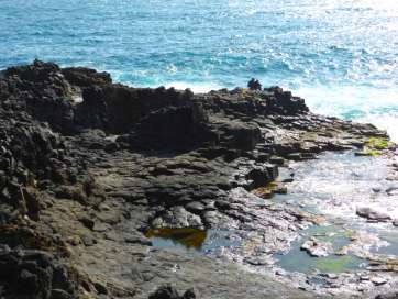 Imagen de uno de los puntos de la costa norte del municipio en donde se ha detectado una acumulación de estas algas (Foto TA)