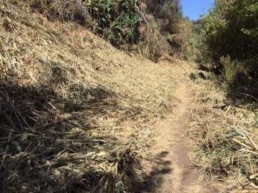 Restos de la poda en los caminos de Cernicalos (Foto TA)