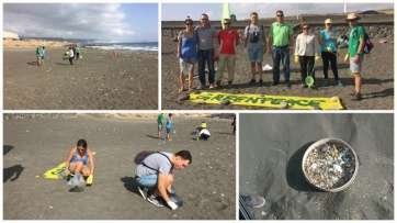 Mosaico de fotos de la limpieza (Foto TA)