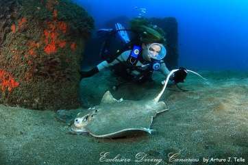 Raya en los fondos marinos de Taliarte (Foto Arturo J. Telle)