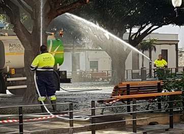 Tratamiento de los árboles de Franchy Roca (Foto TA)