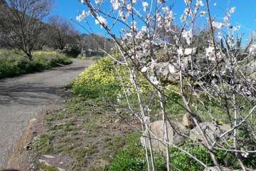 Foto Gumersindo Hernández para TA