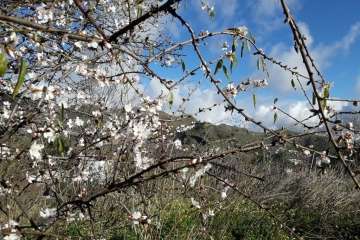 Foto Gumersindo Hernández para TA