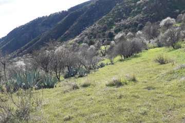 Foto Gumersindo Hernández para TA
