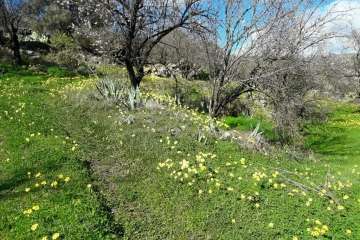 Foto Gumersindo Hernández para TA