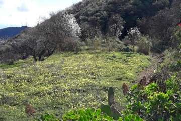 Foto Gumersindo Hernández para TA