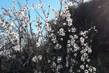 Foto Gumersindo Hernández para TA