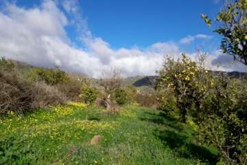 Foto Gumersindo Hernández para TA