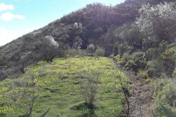 Foto Gumersindo Hernández para TA