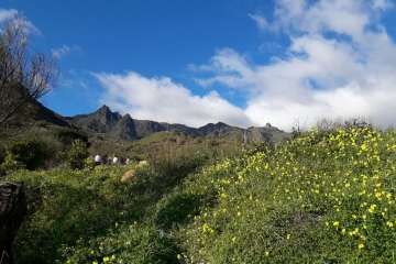 Foto Gumersindo Hernández para TA