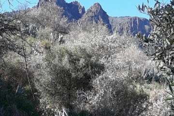 Foto Gumersindo Hernández para TA