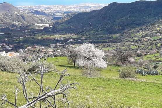 Foto Gumersindo Hernández para TA